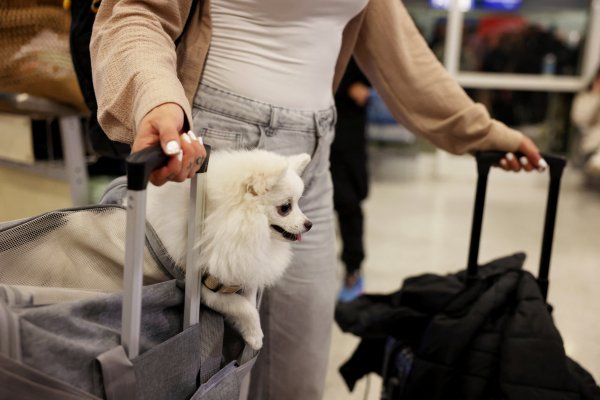 Снимка: Reuters