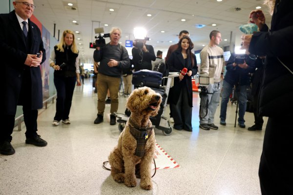 Снимка: Reuters