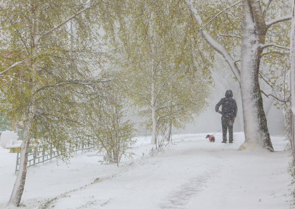 Снимка: БГНЕС