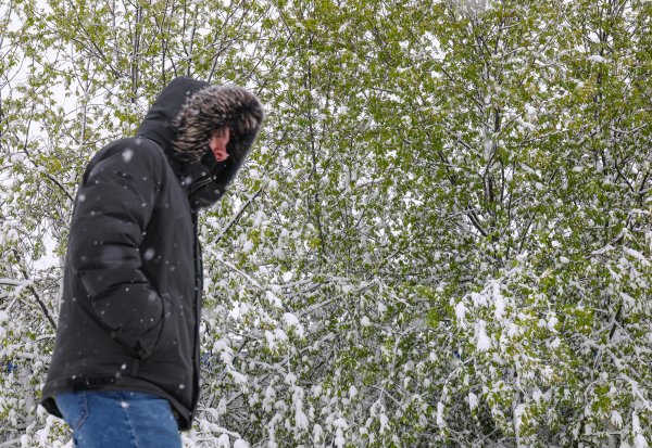 Снимка: БГНЕС