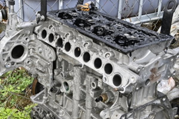 Снимка: МВР