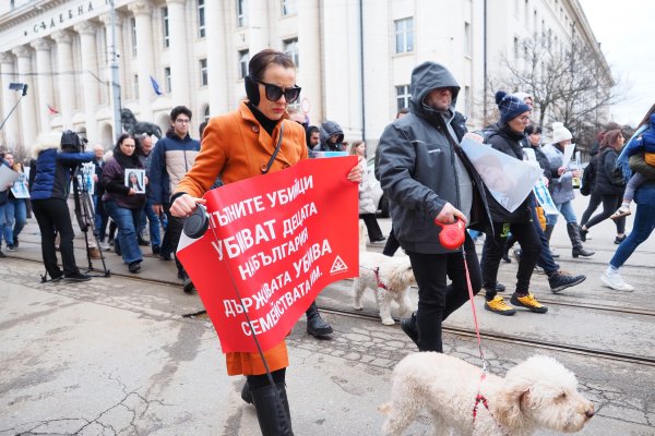 Снимка: БГНЕС