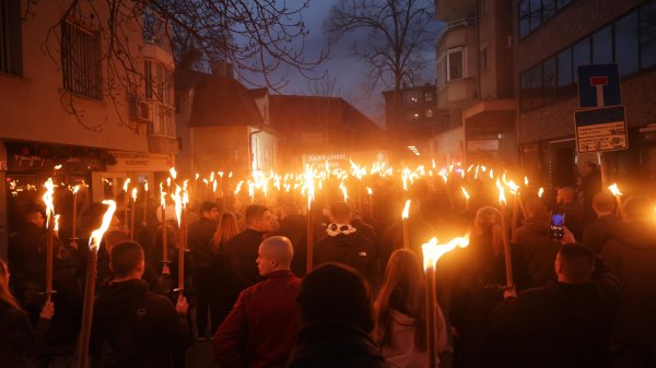 Снимка: БГНЕС