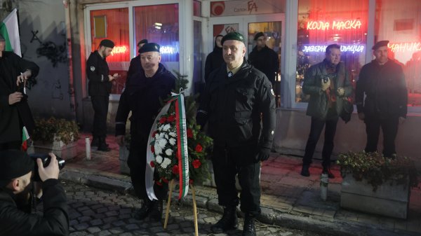 Снимка: БГНЕС