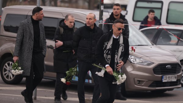 Снимка: БГНЕС