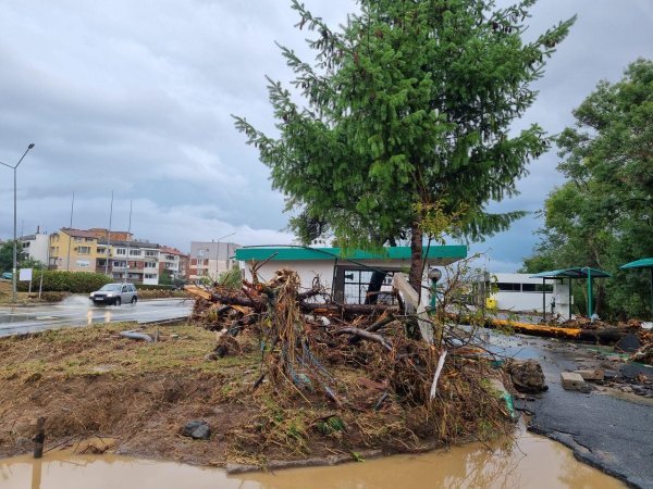 Снимка: БГНЕС