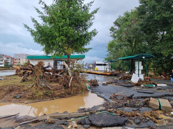 Снимка: БГНЕС