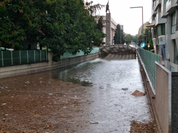 Снимка: БГНЕС