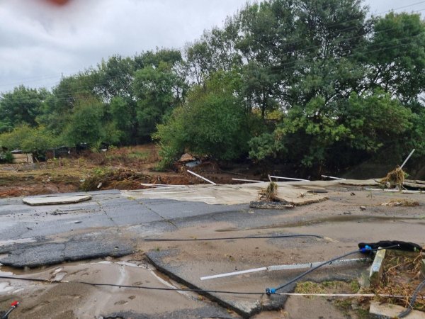 Снимка: БГНЕС