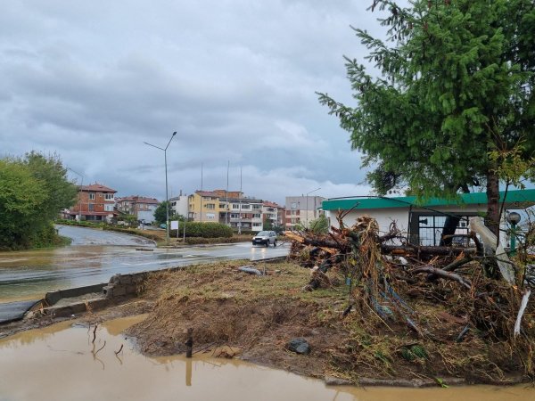 Снимка: БГНЕС