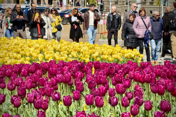 Димитър Кьосемарлиев, Dnes.bg