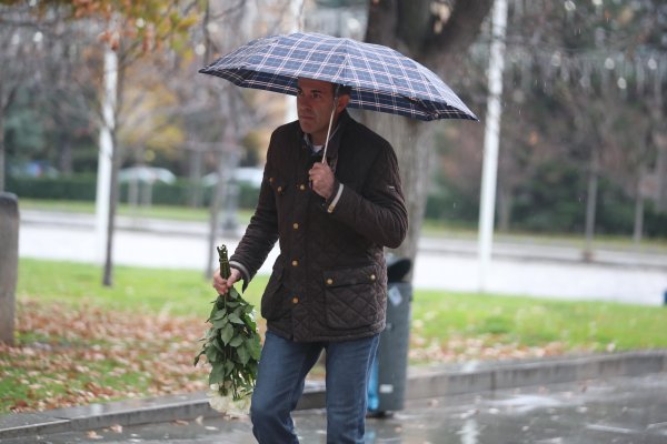 Снимка: Димитър Кьосемарлиев