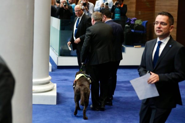 Снимка: Димитър Кьосемарлиев, Dnes.bg