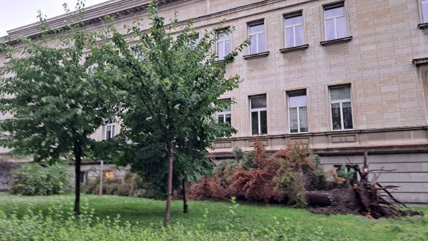 Снимка: БГНЕС