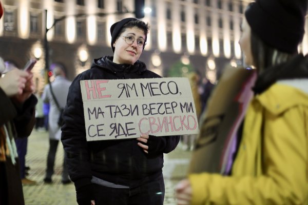 Снимка: Димитър Кьосемарлиев, Dnes.bg