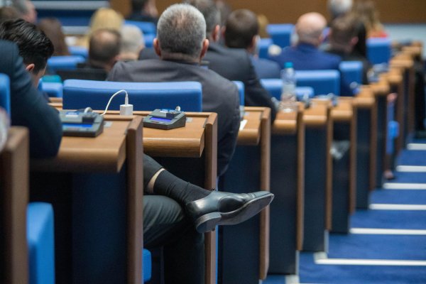 Снимка: Димитър Кьосемарлиев, Dnes.bg