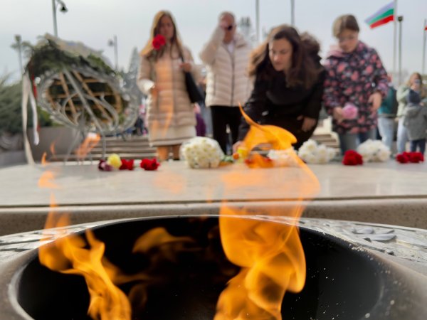 Снимка: Димитър Кьосемарлиев