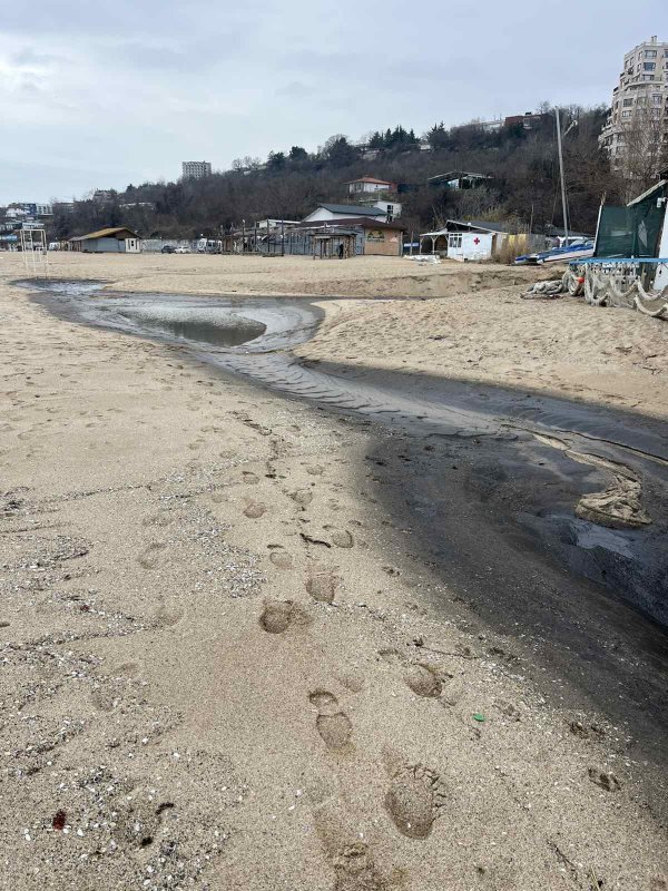 Снимки: БГНЕС