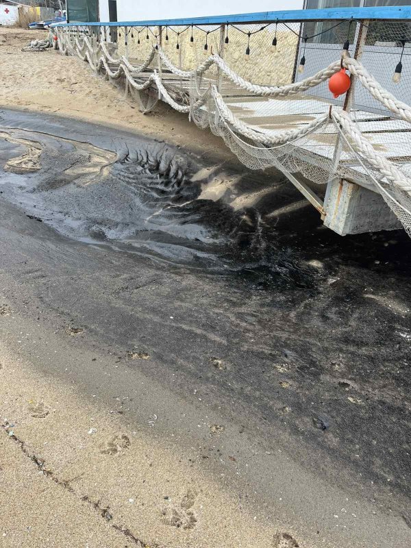 Снимки: БГНЕС