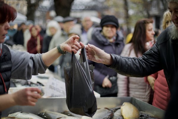 Димитър Кьосемарлиев, Dnes.bg