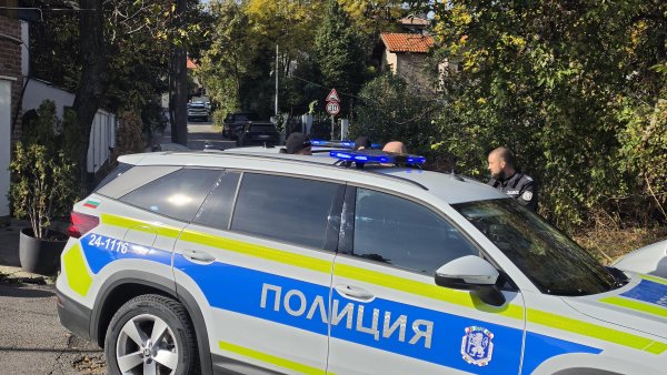 Снимка: БГНЕС