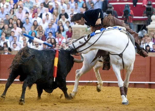 Португалецът Диего Вентура по време на борба с бикове на арената Ла Маестранца в Севиля. Снимка: БГНЕС
&nbsp;
&nbsp;