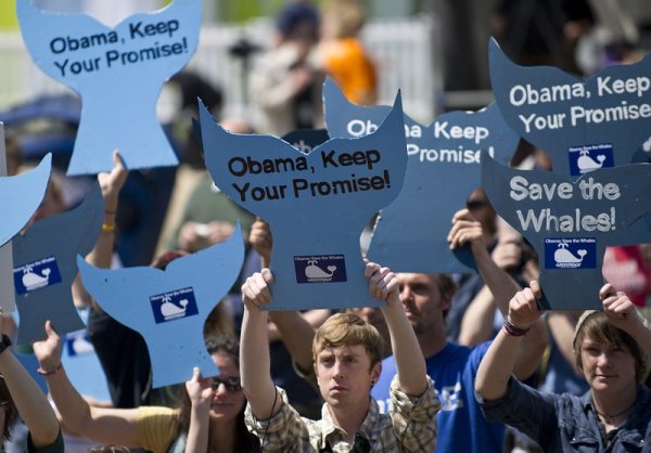 В Деня на Земята природозащитници протестират срещу избиването на китове с търговска цел. На плакатите им пише: „Обама, спази обещанието си“.  Снимка: БГНЕС