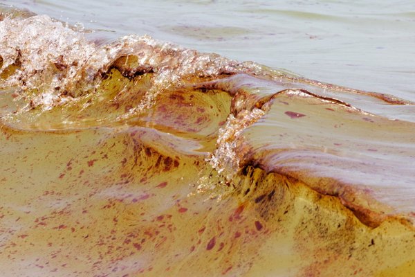 Капки нефт се носят по вълните край плаж в Алабама. Потъването на нефтената платформа Дийпуотър Хърайзън предизвика  най-голямата екокатастрофа в американската история. Снимка: БГНЕС

&nbsp;