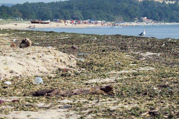 Морето на един от най-красивите плажове по Северното Черноморие е заринато с боклуци. Причина за това са вливащите се води на придошлата от поройни дъждове река Камчия, чието устие се е разширило и тонове кална вода се вливат в морето. Снимка: БГНЕС