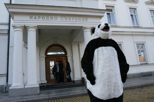 Представители на международната природозащитна организация WWF протестираха пред сградата на Народното събрание. Снимка: БГНЕС