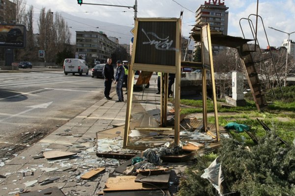 Снимка: БГНЕС