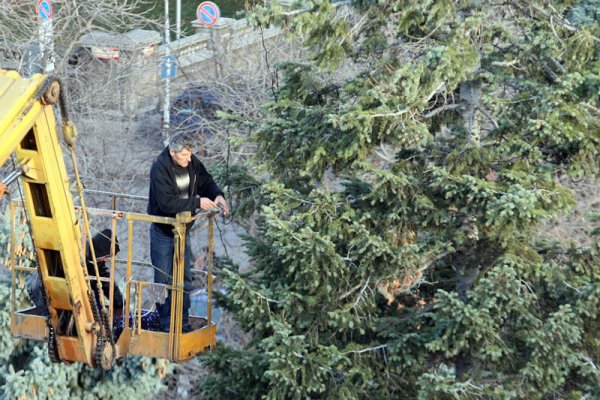 Работници украсяват със светещи лампички голяма елха в центъра на София. Снимка: БГНЕС