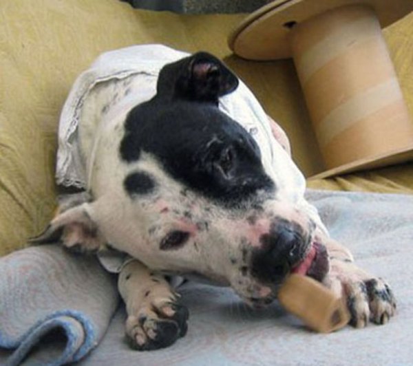 Снимка: Dnes.bg