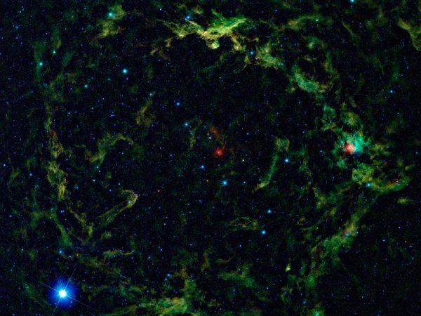 Червена звезда (Lambda Orionis) в центъра на съзвездието Орион – "главата" на Орион. Снимка: NASA/JPL-Caltech/UCLA