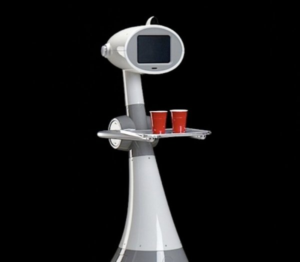 Снимка: SchulzeWORKS, RoboDynamics