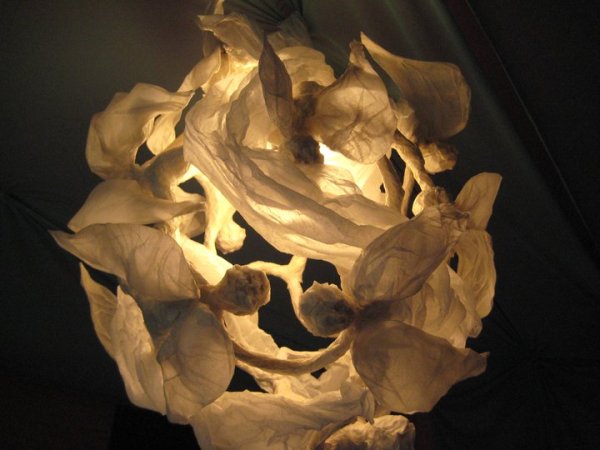 Снимка: Lumagi