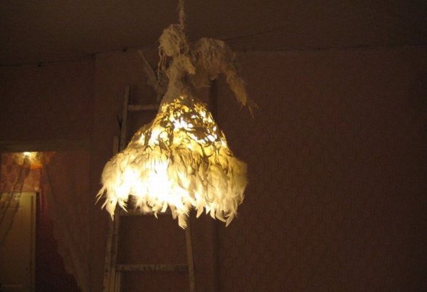 Снимка: Лумаги