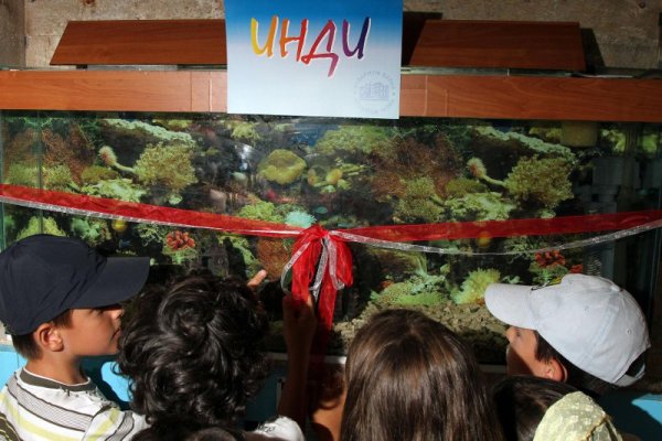 Снимка: Булфото