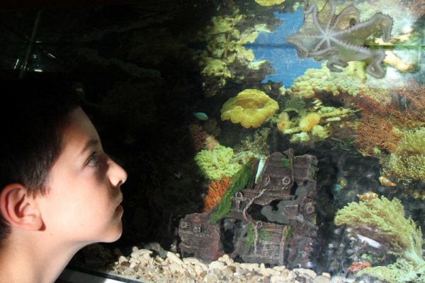 Снимка: Булфото