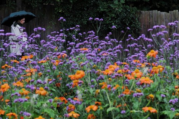 Жена се разхожда сред цветна градина в столицата на Чехия – Прага. Снимка: БТА
