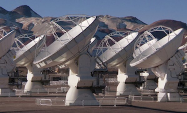 Изображение: alma.nrao.edu