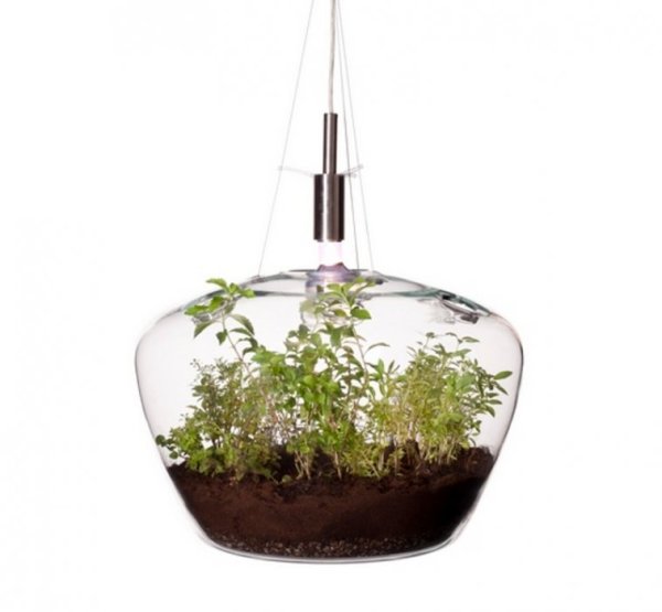 Снимка: glasshouse.cz