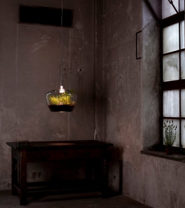 Снимка: glasshouse.cz