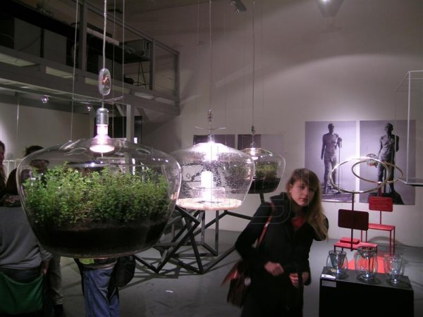 Снимка: glasshouse.cz