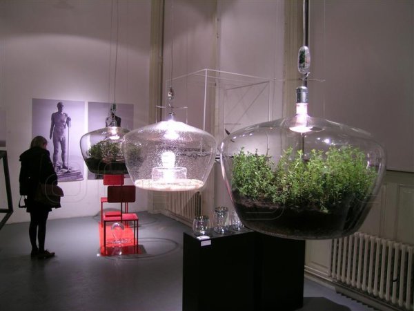 Снимка: glasshouse.cz