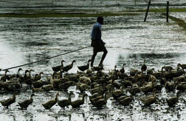 Поглед към ежедневието на хората край каналите. Снимка: Reuters