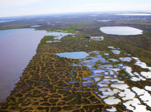 Изображение: Solar Ship