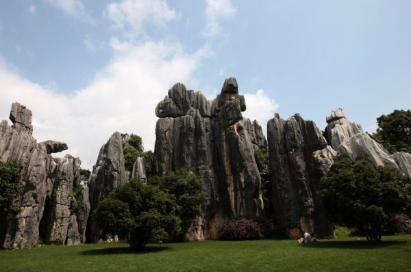 Това е каменната гора Шилин в Китай &ndash; потресаващ образец на карстовата топография. Скалите се състоят от варовик и са формирани от вода, която е разрушила всичко освен тези стълбове, подобни на дървета. От времето на династията Мин каменната гора Шилин е известна като "Първото чудо на света". Снимка: Reuters