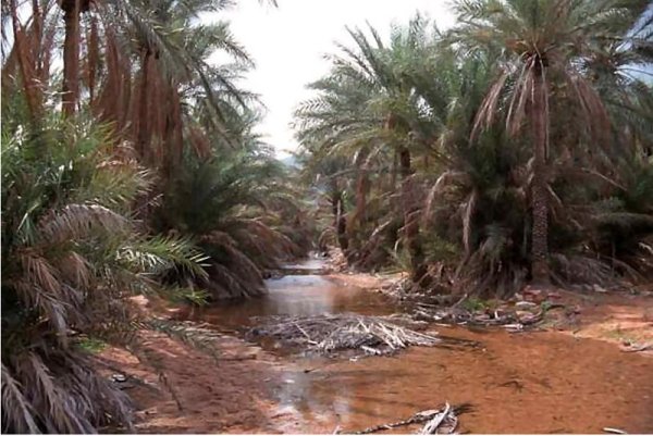 Снимка: looklex.com