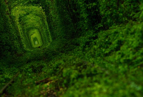 Снимка: trasyy.livejournal.com